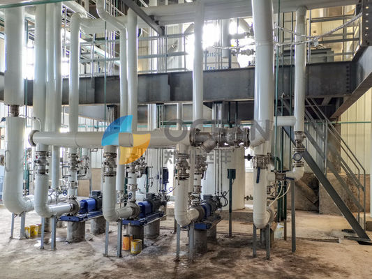 Rapeseeds তেল Pretreatment উদ্ভিদ তেল বীজ প্রক্রিয়াকরণ 30-1500TPD